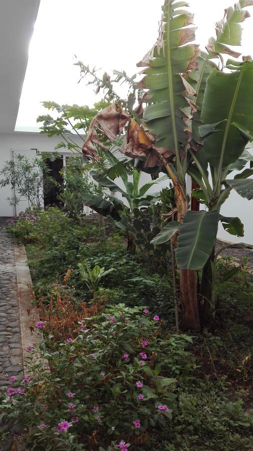 Villa Sao Jose Pedra Badejo  Exterior foto